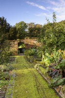 A mossy path in a walled vegetable garden in October