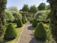 Shingle pathway lined with Buxus cones and Pyrus salicifolia 'Pendula' - Weeping Ornamental Pear Tree