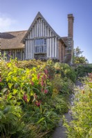 View towards the house from the Mosaic Garden with Persicaria orientalis syn. Polygonum orientale in the foreground