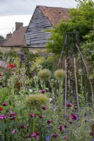 Eryngium agavifolium, Alliums, geraniums and Dianthus in cottage garden border