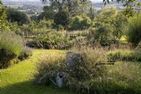 Yorkshire Fog, Holcus lanata, and Ox Eye Daisies in wild flower meadow area of garden lawn, Galvanised water containers hidden inside