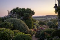 Paved path leading in to informal over flowing summer garden, with different topiary spheres to give height and structure