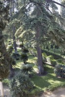 A view down onto the Real Alcazar Palace gardens, with young date palms and a wavy, clipped hedge. Seville. Spain. September. 