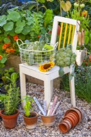 Display of wire basket with harvested broccoli, terracotta pots and tools.