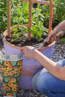Planting Thunbergia in a container. Spreading the fertilizer over the surface with a garden fork.