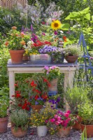 Display of containers with Lantana, Verbena, Surfinia, Scaevola, Impatiens, Fuchsia and others.