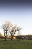 Moonrise over the Herefordshire landscape surrounding Hergest Croft garden in January