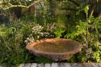 Still bowl with a water in a flower bed with ground covering plants. The Nurture Landscapes Garden, Designer: Sarah Price, Gold medal winner RHS Chelsea Flower Show 2023