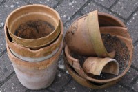 Broken and frost damaged terracotta pots  September
