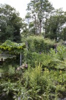 Natural stream in woodland garden