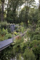 Woodland garden with pathway leading to black alder forest