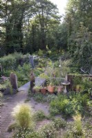 Overall view of naturalistic woodland garden