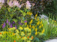 Ligularia 'Little Rocket'. RHS Iconic Horticultural Hero Garden, Designer: Carol Klein, RHS Hampton Court Palace Garden Festival 2023