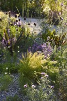 Stipa tenuissima in drought tolerant bed. RHS Iconic Horticultural Hero Garden, Designer: Carol Klein, RHS Hampton Court Palace Garden 