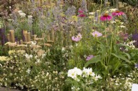 RHS Tatton Park 2022 - Greener Borders - W-E the Border by Queenie Chan