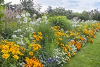 White - yellow themed border with Rudbeckia hirta 'Marmelade', Ammi majus, Pennisetum villosum, Zinnia angustifolia 'Crystal White', Cleome spinosa, Miscanthus sinensis and Nicotiana.