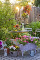 Container plantings on the terrace with Impatiens and Pelargonium, a flower arrangement with a cold drink on the table.