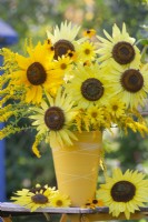 Yellow themed floral arrangement with Helianthus and Solidago.