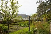 Bare rope swags around borders in the walled garden at Inverewe Garden.