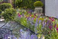A colourful summer perennial bed in a modern garden planted with Nepeta, Salvia and Ixia surrounds the water feature. Large ceramic pot with a pruned yew ball in the background. Designer: Kevin Dennis, Bord Bia Bloom 2023