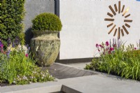 Yew ball in a terracotta container on the background of a wall with a large copper clock. Designer: Kevin Dennis, Bord Bia Bloom 2023