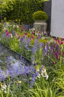 A colourful summer perennial bed in a modern garden planted with Nepeta, Salvia, Ixia surrounds the water feature. Large ceramic pot with yew ball in the background. Designer: Kevin Dennis, Bord Bia Bloom 2023