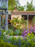 A grape vine underplaned with purple lupins, verbascum and artemisia. The Savills Garden, Designer: Mark Gregory, RHS Chelsea Flower Show 2023, May, Spring, Summer