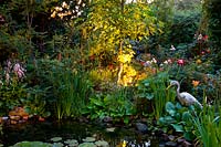 Garden with lighting 