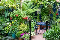 Terrace with exotic plants 