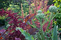 Vegetable garden 