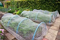 Fleece tunnel in the vegetable garden 