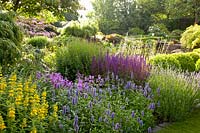 Combination of perennials 