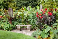Exotic garden with seating area 
