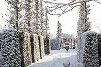 Formal garden with yew hedge, Taxus, Carpinus betulus Fastigiata 