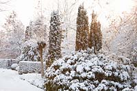 Winter garden with trees 