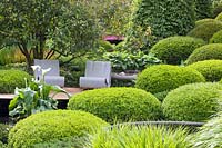 Green garden with topiary 