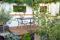 Terrace with vegetables and herbs 