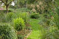 Grasses in the garden 