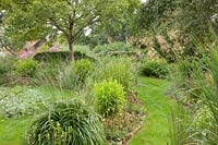 Grasses in the garden 