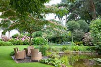 Seating under silk tree, Albizia julibrissin 