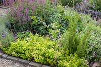 Herb garden 