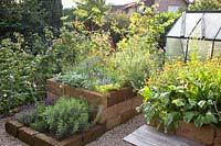 Raised beds in the vegetable garden 