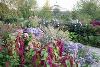 Perennials, Annuals and Pavilion, Amaranthus Dreadlocks, Calamagrostis brachytricha, Aster, Dahlia Melody Harmony 