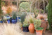 Terrace in winter with grasses, Stipa tenuissima, Juncus patens Carmans Gray, Carex buchananii Red Rooster, Euonymus japonicus 