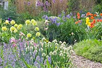 Bed with perennials, Iris barbata, Nepeta racemosa Walker's Low, Allium fistulosum, Papaver orientale, Iris sibirica 