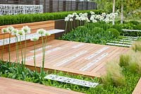 Modern garden with boxwood, Buxus sempervirens, Agapanthus umbellatus Albus, Stipa tenuissima 