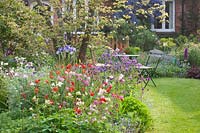 Seating in the cottage garden, Aquilegia, Geum Red Wings 