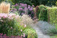 Path with lavender and grasses, Lavandula, Eupatorium Glutball, Molinia caerulea Edith Dudzus, Stipa calamagrostis, Phlox paniculata Flamingo 