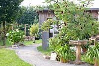 Garden with sumac, Rhus typhina 