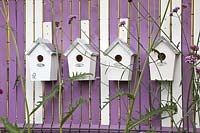 Nesting boxes on the fence 
